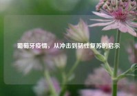 葡萄牙疫情，从冲击到韧性复苏的启示