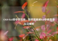 CSGO Roll房中奖指南，如何提高被Roll中概率及玩法解析