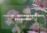 CSGO Fake战队，虚拟战场的影子军团，是欢乐整活还是边界试探？