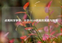 点亮科学梦想，小学STEAM教育的实践与探索