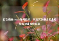 街头霸王5Steam账号指南，从购买到安全的全方位解析及游戏分享