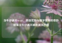 当牛仔遇见Steam，西部荒野与数字世界的奇妙碰撞及牛仔裤不掉色清洗妙招