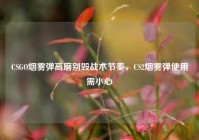 CSGO烟雾弹高磨别毁战术节奏，CS2烟雾弹使用需小心