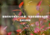 猪猪的和平精英BGM私藏，每首歌都藏着他的吃鸡高光时刻