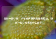 四川一区CF吧，十年枪声里的青春集结地，四川一区CF究竟叫什么部？
