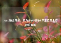 PUBG铂金段位，实力分水岭的水平定位及上方段位解析