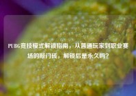 PUBG竞技模式解锁指南，从普通玩家到职业赛场的敲门砖，解锁后是永久吗？
