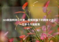 2020美国网球公开赛，疫情阴霾下的网球之光——女单十六强聚焦