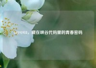 lol191918，藏在峡谷代码里的青春密码
