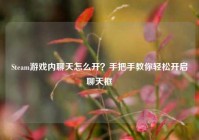 Steam游戏内聊天怎么开？手把手教你轻松开启聊天框