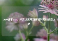 CSGO选手noke，从青训黑马到赛场利刃的蜕变之路