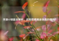 手游CF钥匙全解析，这些隐藏用途你真的懂吗？