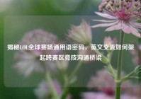 揭秘LOL全球赛场通用语密码，英文交流如何架起跨赛区竞技沟通桥梁