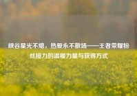 峡谷星光不熄，热爱永不散场——王者荣耀粉丝接力的温暖力量与获得方式