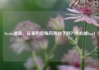 Steam退款，玩家的后悔药用对了吗？小心被ban！