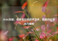 PUBG封烟，烟雾背后的战术艺术、热血回忆与技巧解析