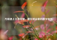 方程遇上王者荣耀，藏在峡谷里的数学智慧