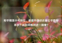 和平精英小号段位，是提升捷径还是公平隐形杀手？该如何看待这一现象？