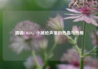 清镇CSGO，小城枪声里的热血与热爱