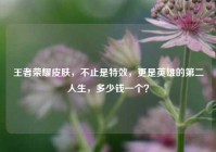 王者荣耀皮肤，不止是特效，更是英雄的第二人生，多少钱一个？