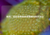 林丹，羽坛传奇的体育精神与时代印记