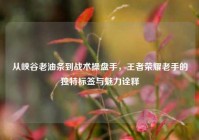 从峡谷老油条到战术操盘手，王者荣耀老手的独特标签与魅力诠释