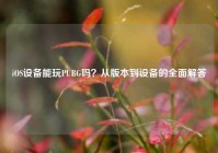 iOS设备能玩PUBG吗？从版本到设备的全面解答