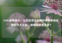 PUBG极限输出，从压枪泼水到瞬秒多靶解锁战场毁伤天花板，极限帧数是多少？