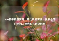 CSGO茄子复播满月，茄化风暴再临，热爱永不白给的人体结构几何体速写