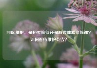 PUBG维护，是短暂等待还是游戏体验必修课？如何看待维护公告？