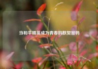 当和平精英成为青春的默契密码