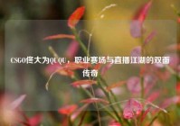 CSGO佟大为QUQU，职业赛场与直播江湖的双面传奇