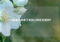 LOL英语为何成了年轻人的社交密码？