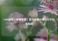 CSGO封禁人数哪里看？官方渠道与第三方平台全指南