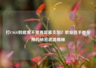 打CSGO到底需不需要屏幕支架？职业选手都在用的秘密武器揭秘