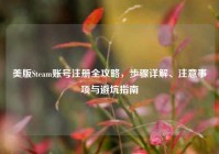 美版Steam账号注册全攻略，步骤详解、注意事项与避坑指南