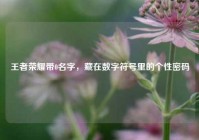 王者荣耀带0名字，藏在数字符号里的个性密码