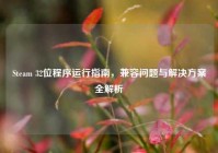 Steam 32位程序运行指南，兼容问题与解决方案全解析