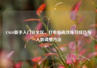 CSGO新手入门安全区，打电脑高效练习技巧与人数调整方法