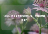 CF动力，不止是青春热血的引擎，它到底是什么枪？