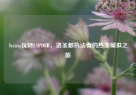 Steam玩转LSPDFR，洛圣都执法者的热血模拟之旅