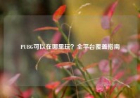 PUBG可以在哪里玩？全平台覆盖指南