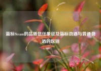 蓝标Steam的品质信任象征及蓝标劲酒与普通劲酒的区别