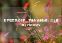 和平精英里的老兵，不是时长是勋章，这才是真正的老兵定义