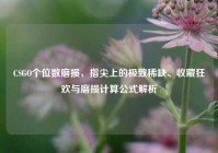CSGO个位数磨损，指尖上的极致稀缺、收藏狂欢与磨损计算公式解析