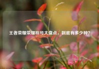 王者荣耀荣耀称号大盘点，到底有多少种？