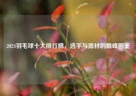2024羽毛球十大排行榜，选手与器材的巅峰图鉴