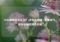 PUBG帧数低怎么办？5步优化指南+设置技巧，助你流畅吃鸡不卡顿