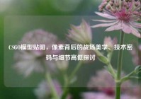 CSGO模型贴图，像素背后的战场美学、技术密码与细节高低探讨