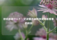 欧会杯是什么？一文读懂这项欧洲足球新赛事的级别
